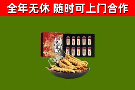 攀枝花烟酒回收冬虫夏草礼盒.jpg